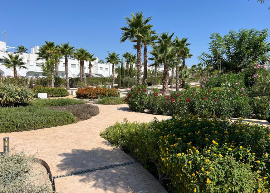 Herverkoop - Appartement - Orihuela - Vistabella Golf