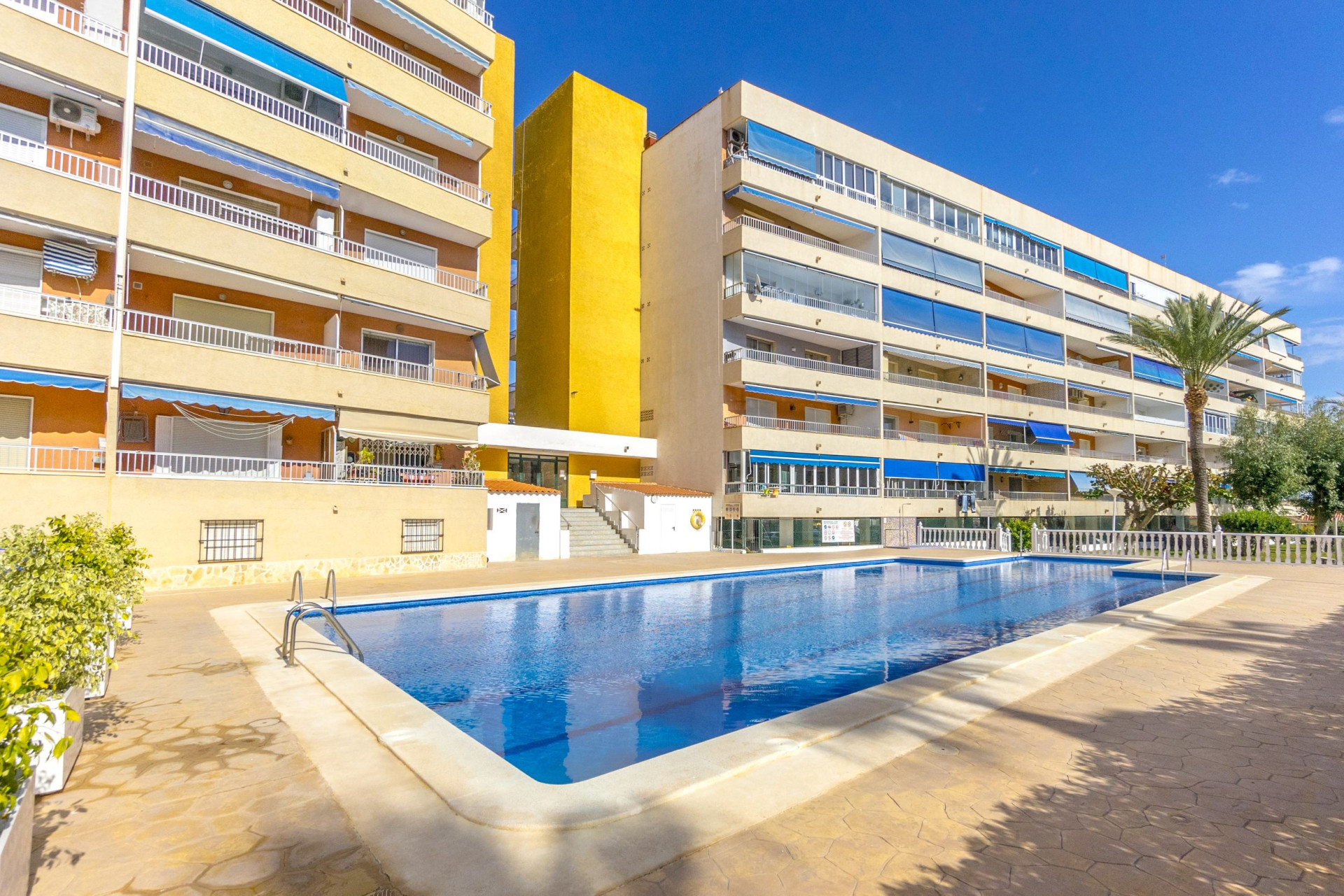 Herverkoop - Appartement - Punta Prima - El Acequión