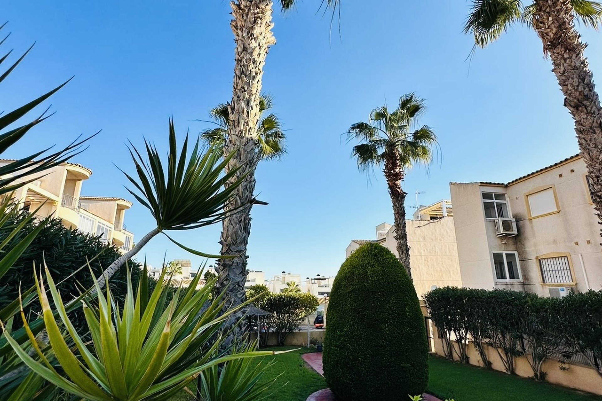 Herverkoop - Appartement - Punta Prima - Orihuela Costa