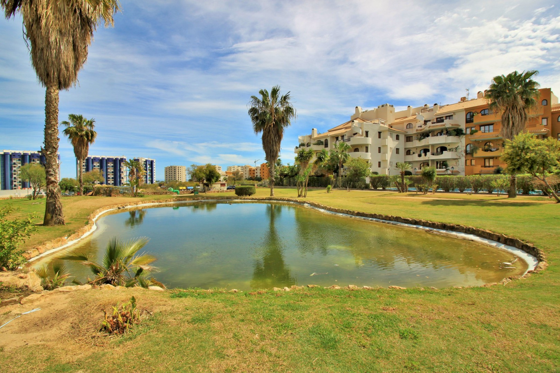 Herverkoop - Appartement - Punta Prima - Orihuela Costa