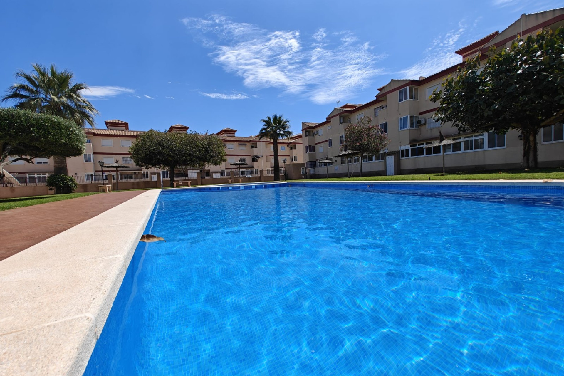 Herverkoop - Appartement - San Pedro del Pinatar - Los Alcazares