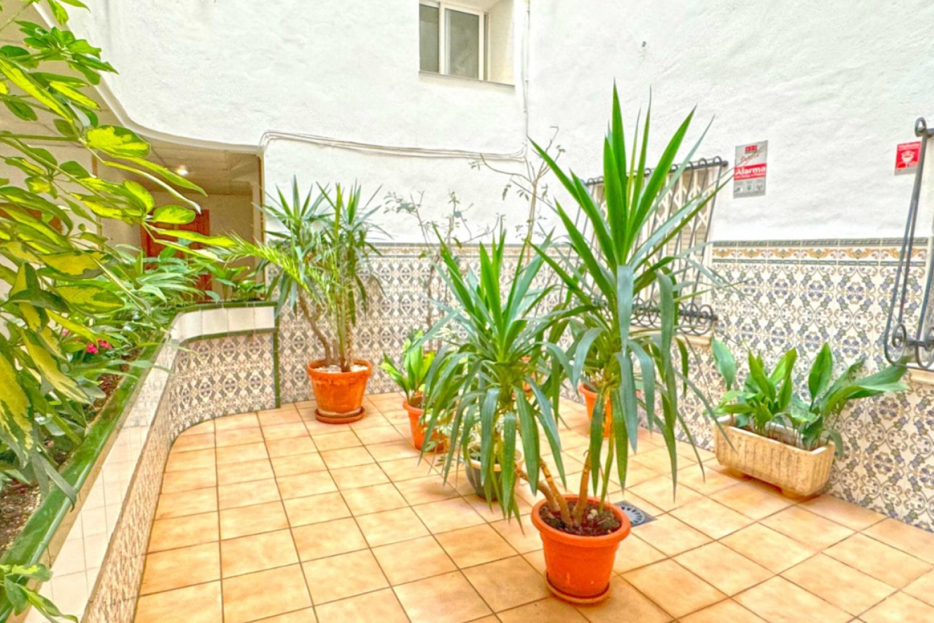 Herverkoop - Appartement - Torrevieja