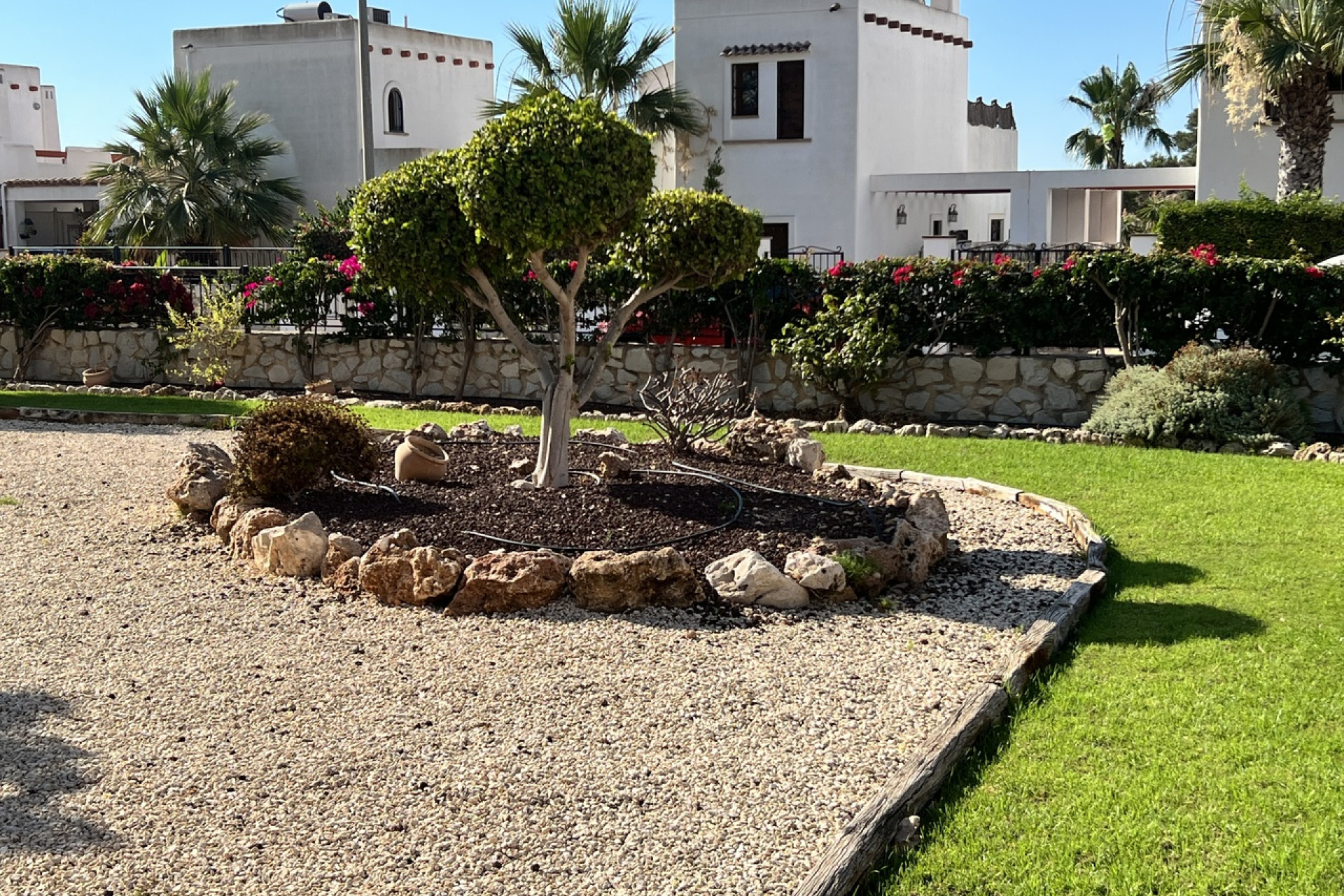 Herverkoop - Appartement - Villamartin - Orihuela Costa