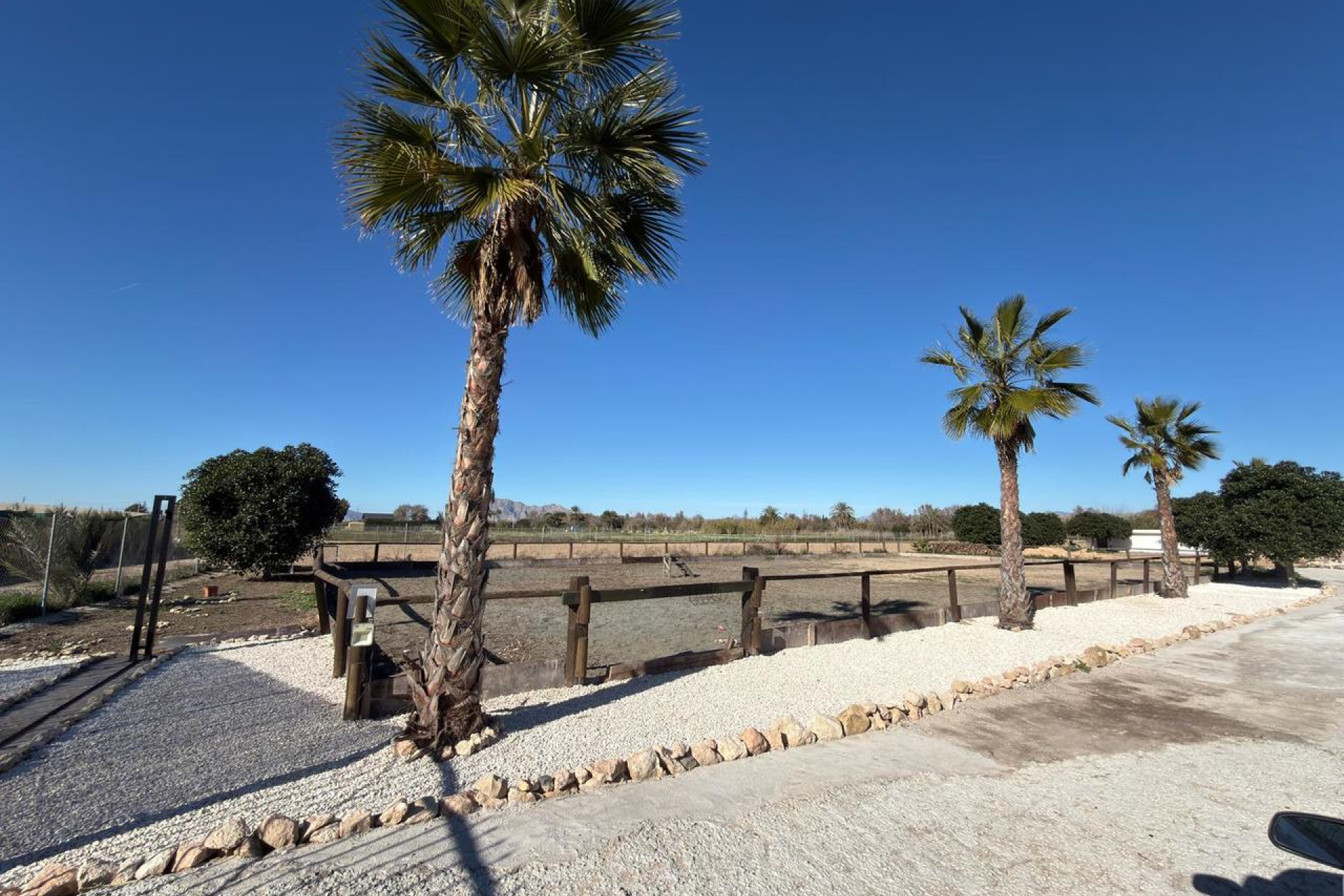 Herverkoop - Bouwgrond - Algorfa - Costa Blanca Zuid