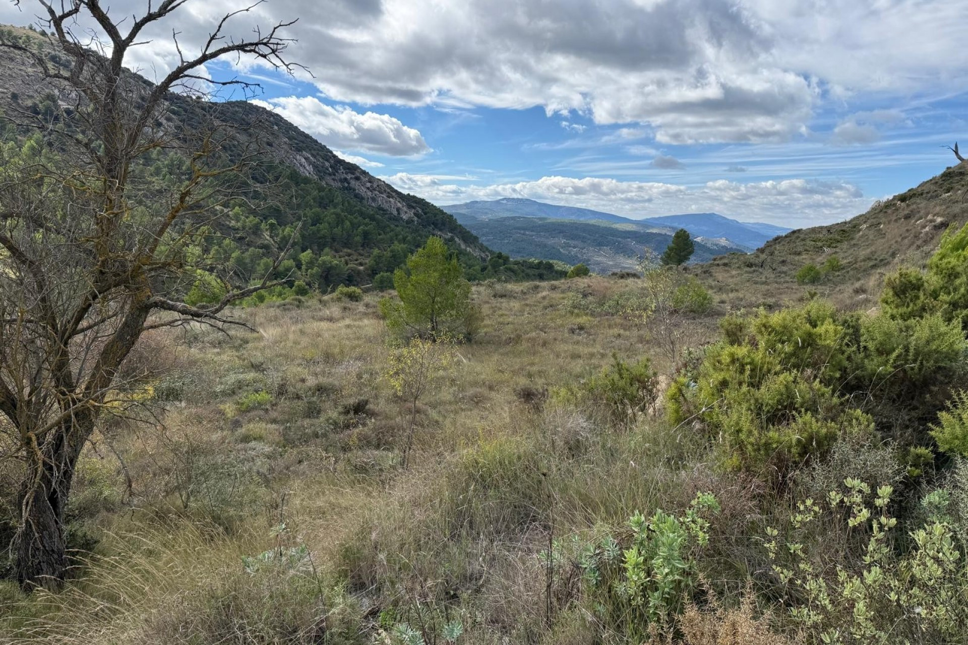 Herverkoop - Bouwgrond - Confrides - Barranc de Xarquera