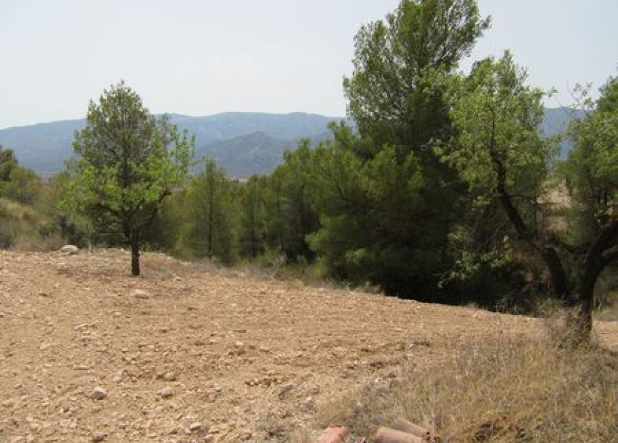 Herverkoop - Bouwgrond - Murcia - Costa Calida