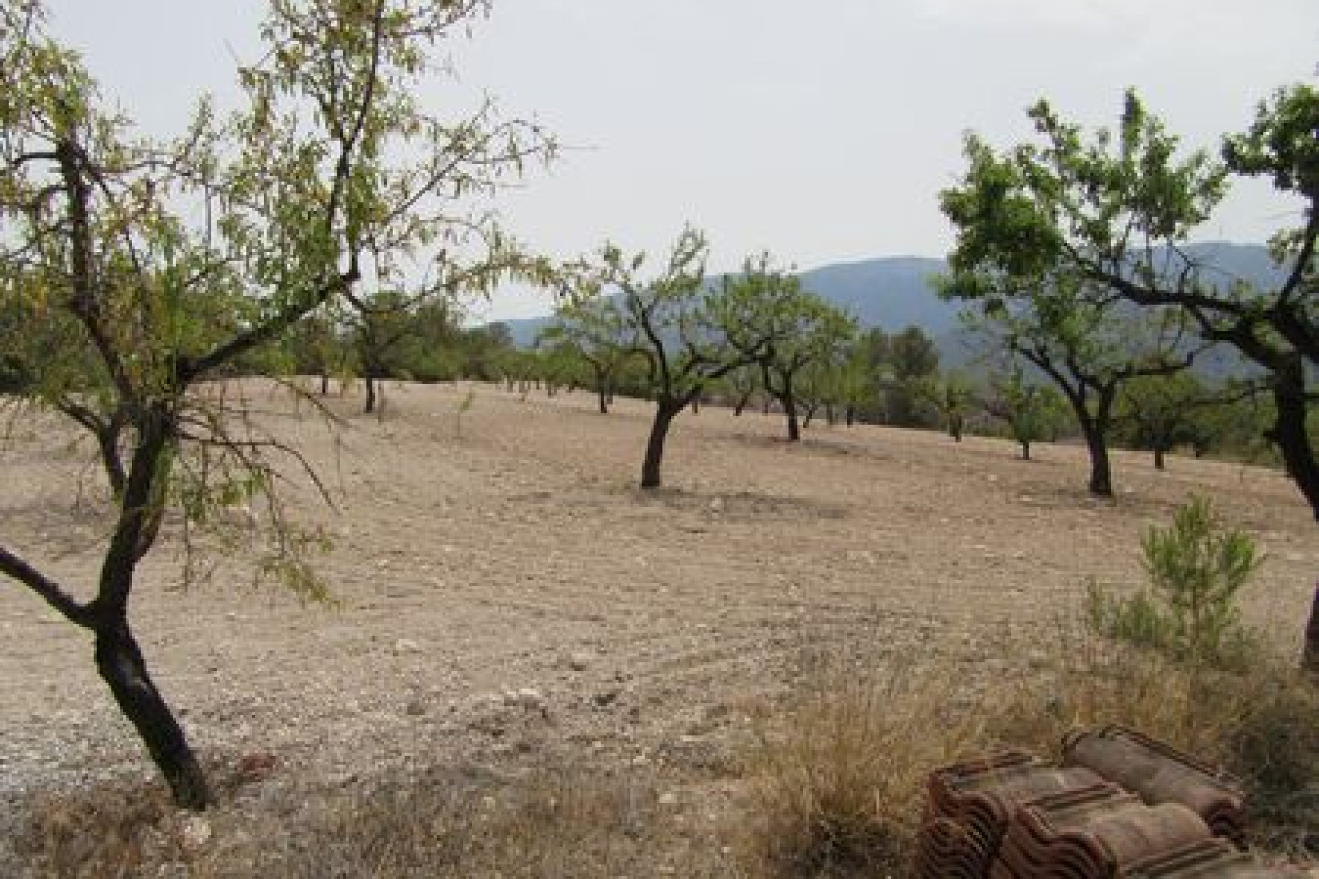 Herverkoop - Bouwgrond - Murcia - Costa Calida