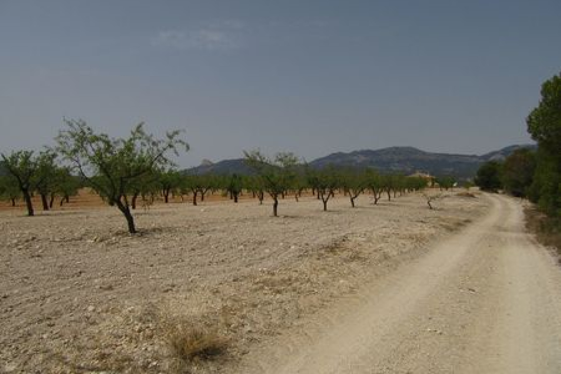Herverkoop - Bouwgrond - Murcia - Costa Calida