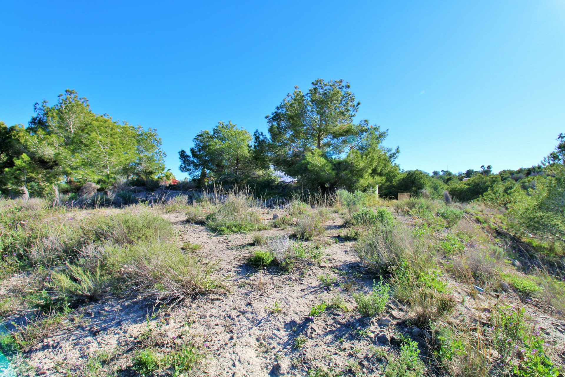 Herverkoop - Bouwgrond - San Miguel de Salinas - Costa Blanca Zuid