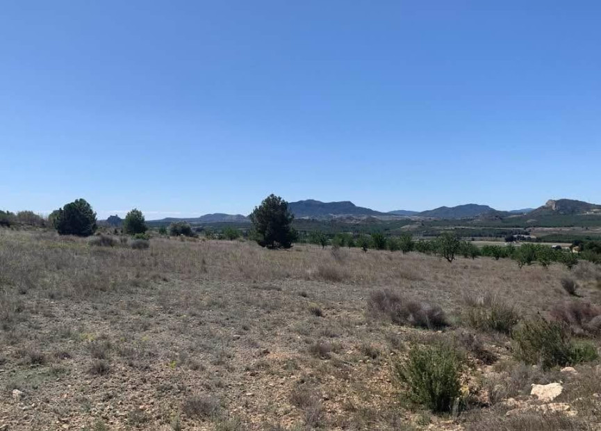 Herverkoop - Bouwgrond - Sax - Costa Blanca Noord