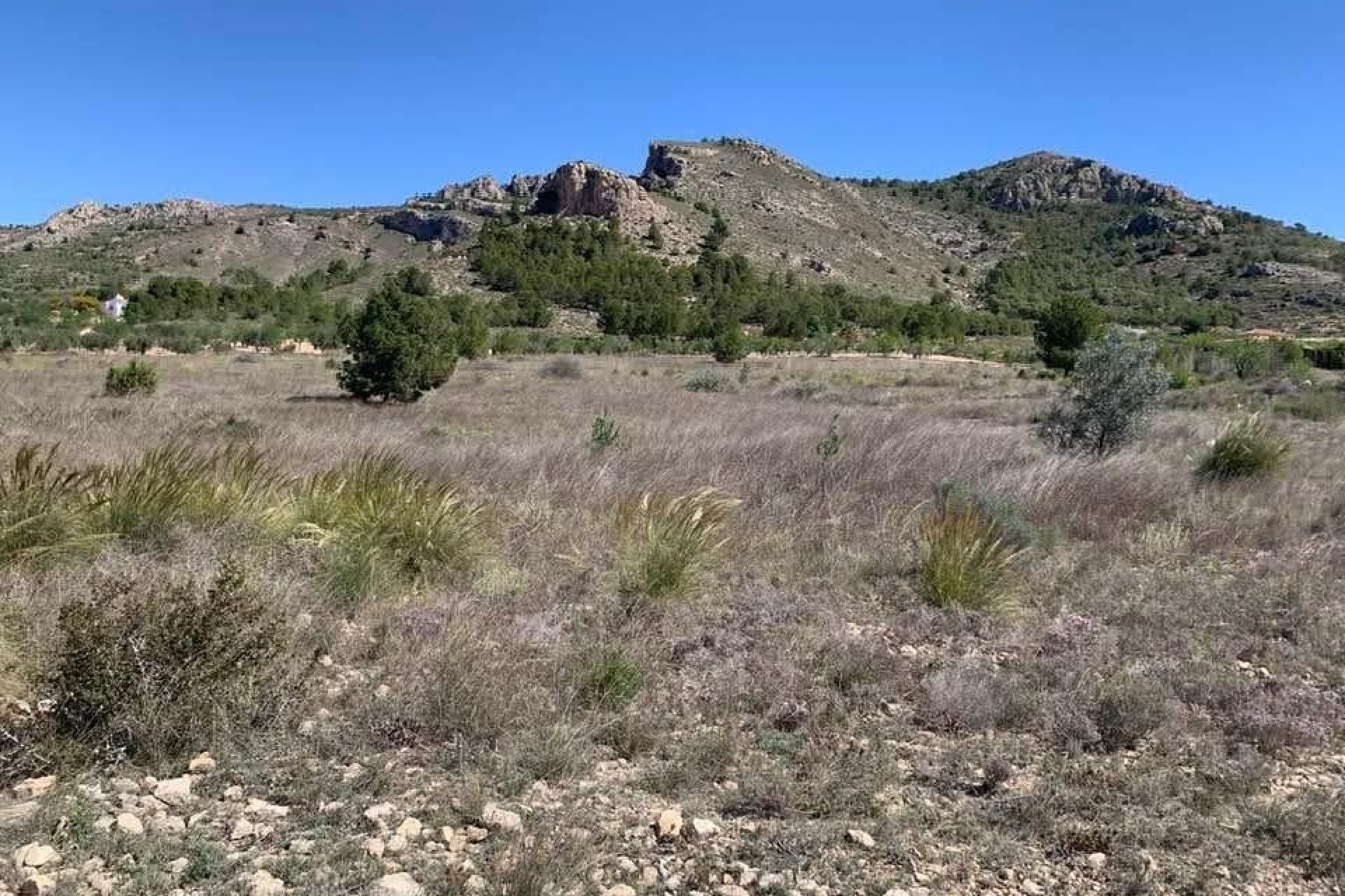 Herverkoop - Bouwgrond - Sax - Costa Blanca Noord