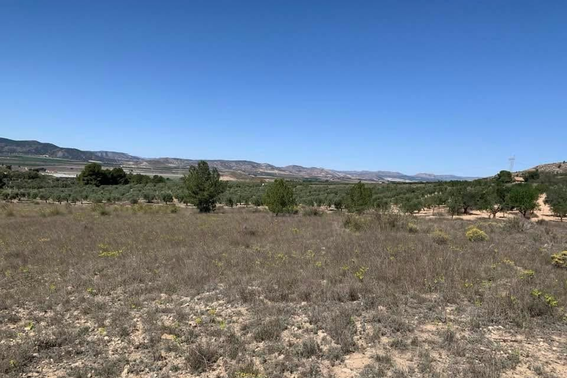 Herverkoop - Bouwgrond - Sax - Costa Blanca Noord