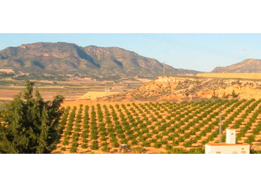 Herverkoop - Bouwgrond - Torre Pacheco - Costa Calida