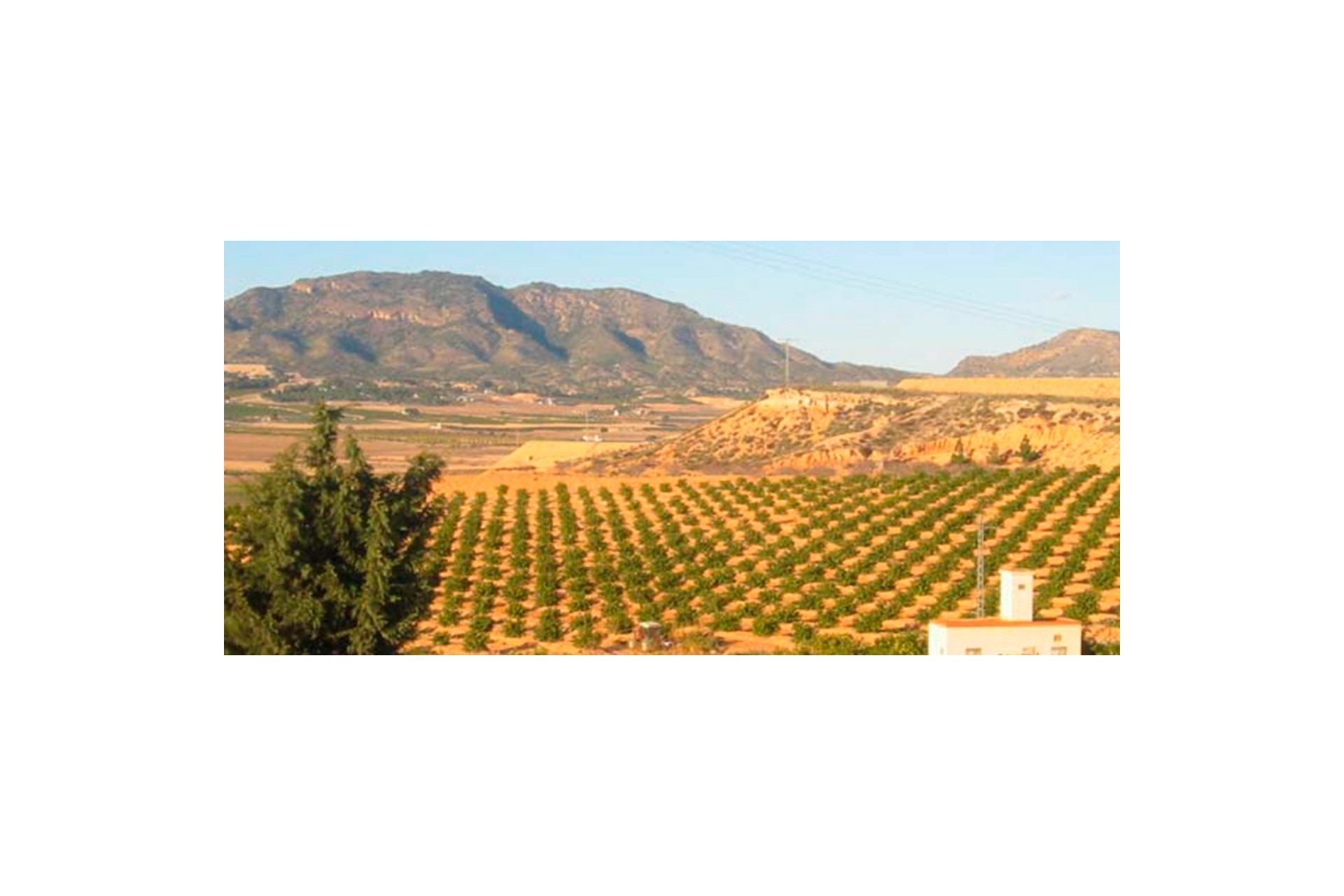 Herverkoop - Bouwgrond - Torre Pacheco - Costa Calida