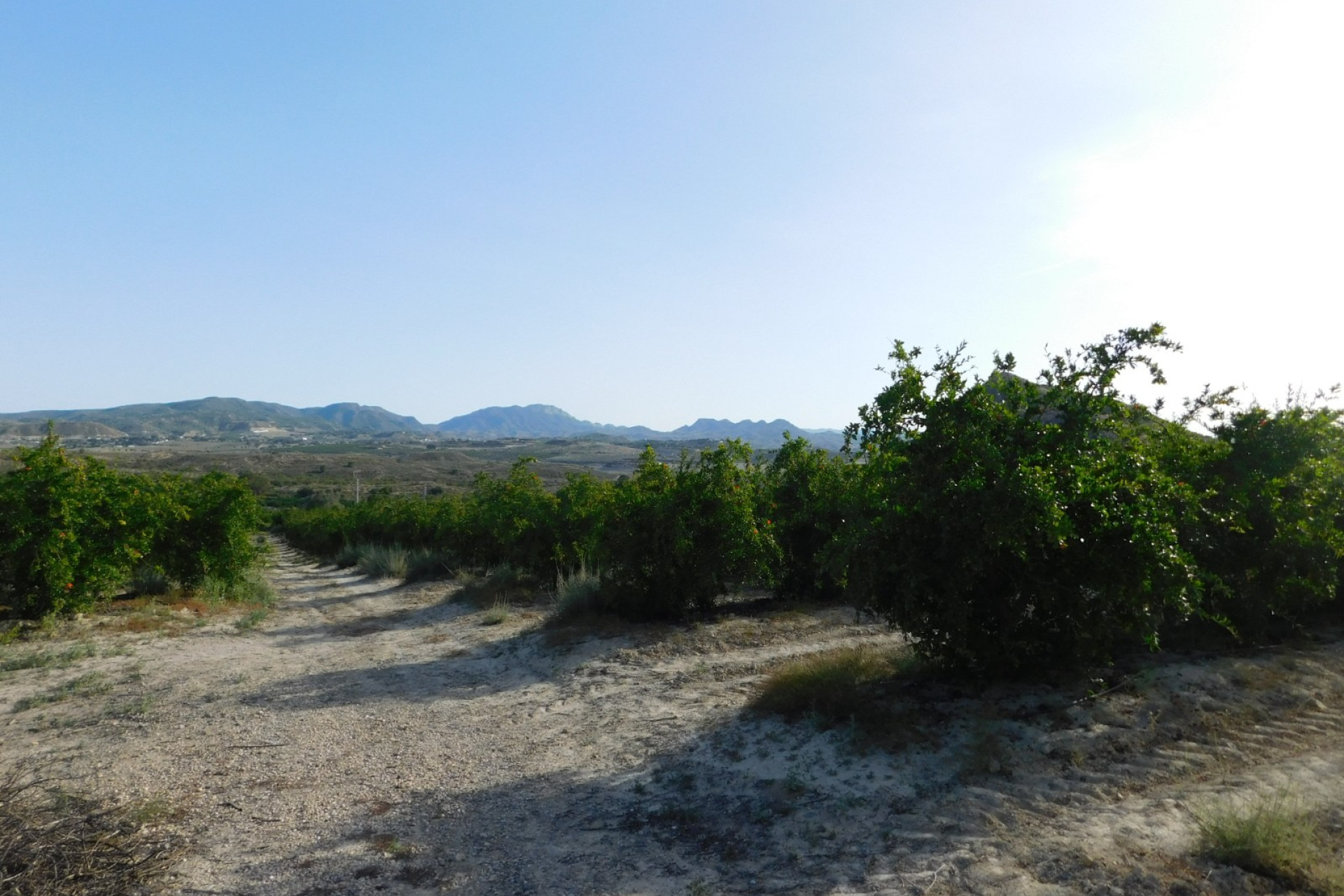 Herverkoop - Bouwgrond - Torremendo - Costa Blanca Zuid