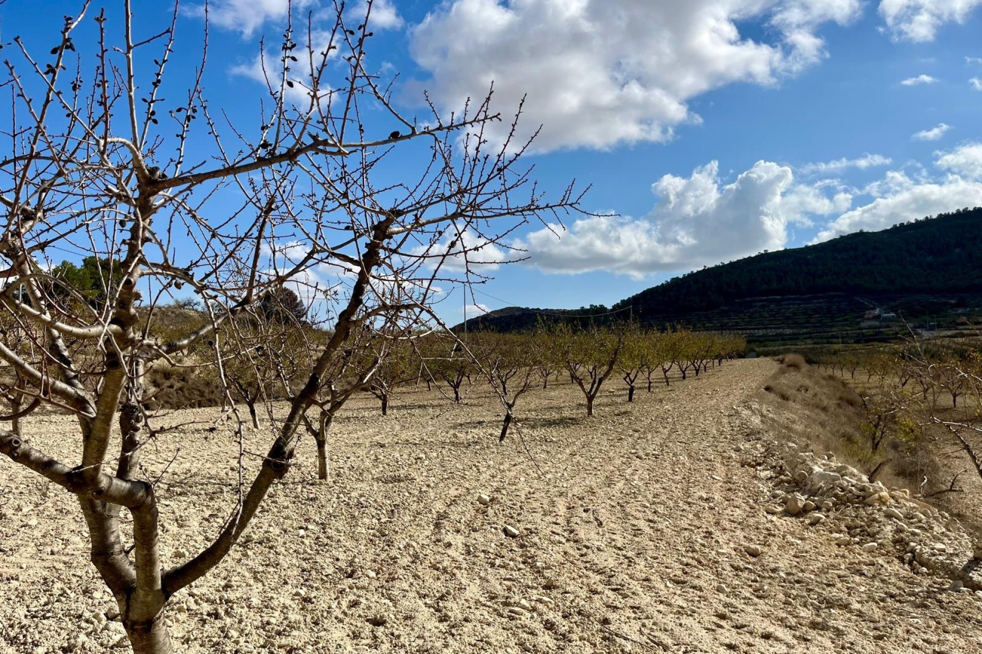 Herverkoop - Building Plot - Bullas - Costa Calida