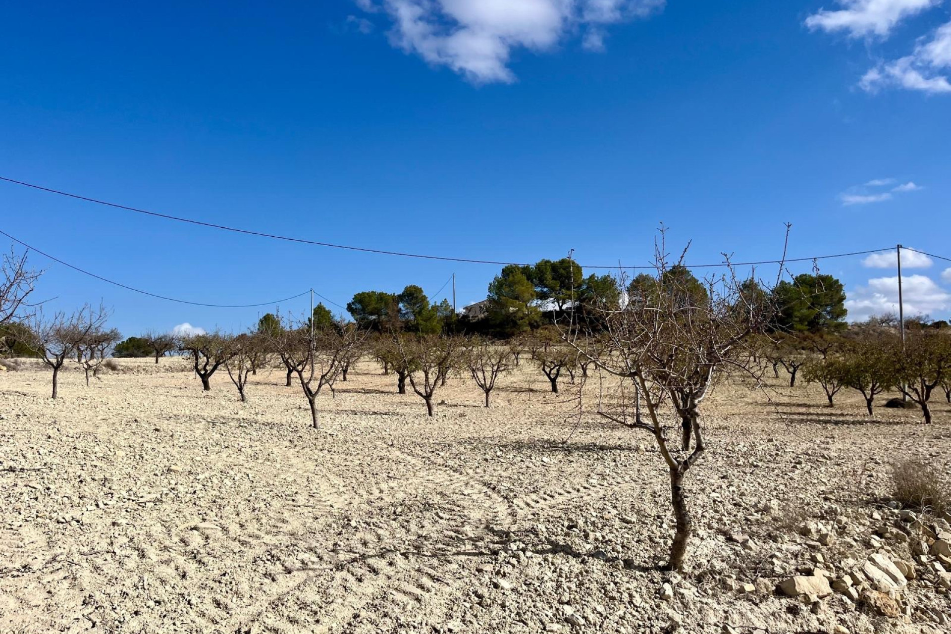 Herverkoop - Building Plot - Bullas - Costa Calida