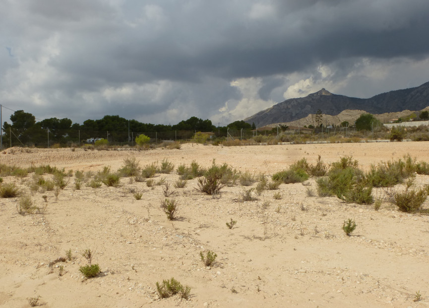 Herverkoop - Building Plot - Crevillente - Orihuela