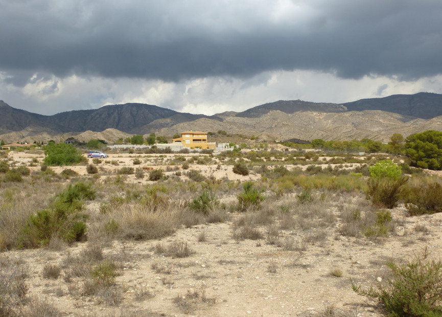 Herverkoop - Building Plot - Crevillente - Orihuela