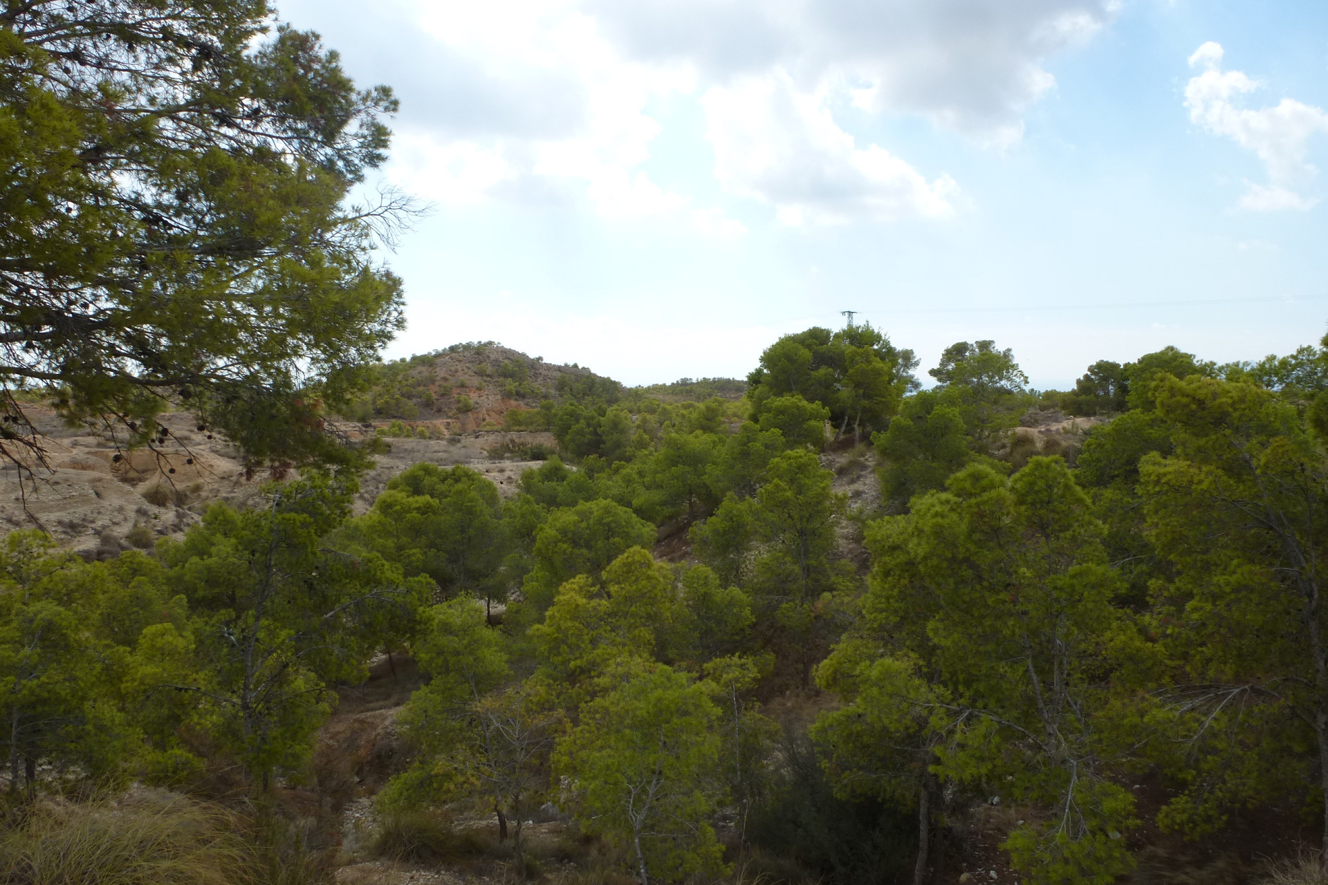 Herverkoop - Building Plot - Crevillente - Orihuela