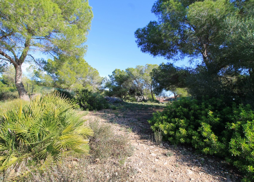 Herverkoop - Villa - Mil Palmeras - Pilar de la Horadada