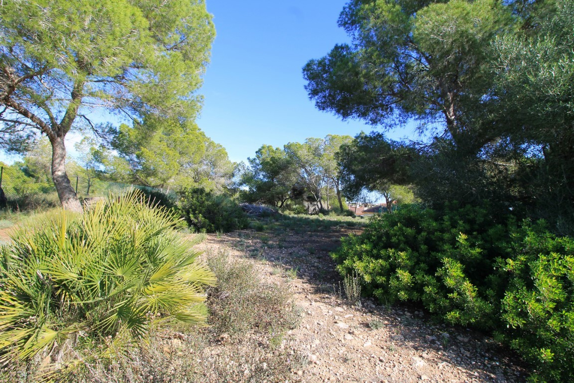 Herverkoop - Villa - Mil Palmeras - Pilar de la Horadada