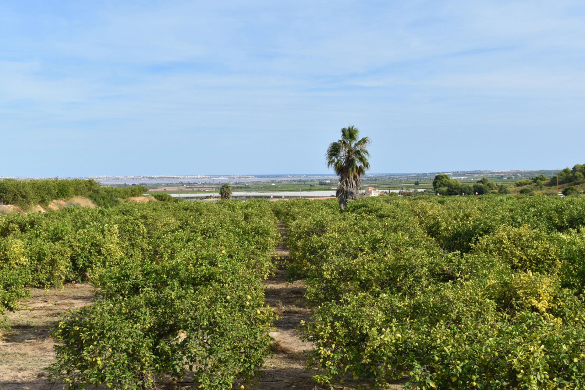 Herverkoop - Villa - Torremendo - Orihuela