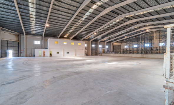 Industrial unit - Long term rental - Pilar de la Horadada - Polígono industrial Cañada de Práez