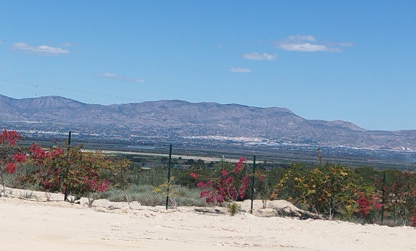 Land and Plots - Resale - San Fulgencio - Costa Blanca South