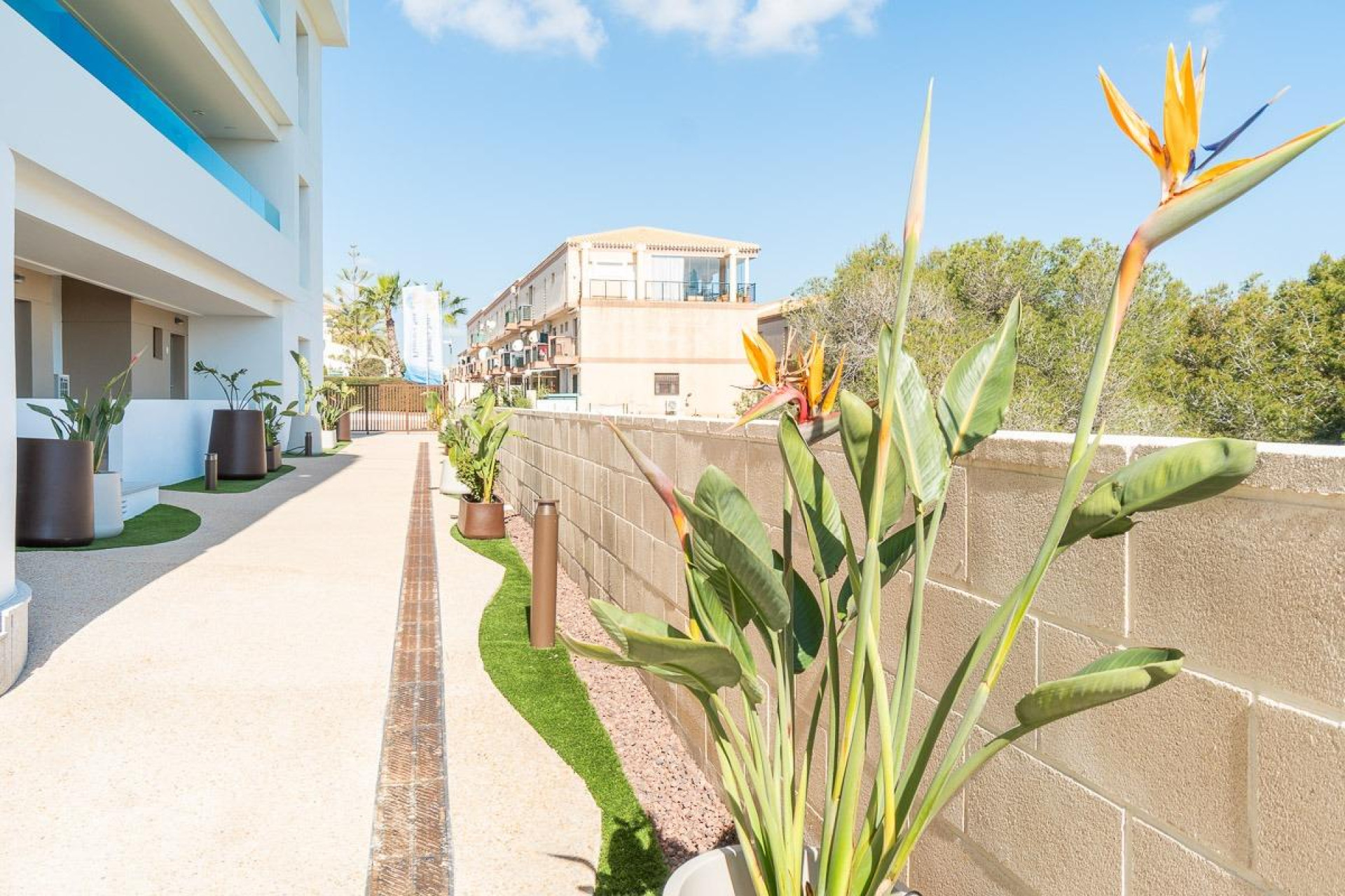 Lange termijn verhuur - 1. Appartement / flat - Orihuela Costa - Costa Blanca Zuid
