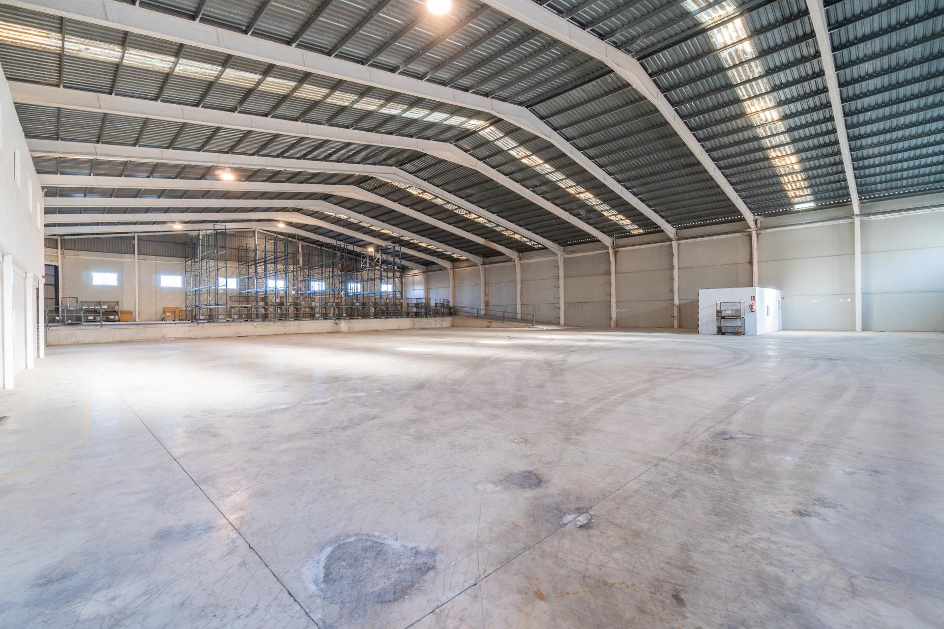 Lange termijn verhuur - Industrial unit - Pilar de la Horadada - Polígono industrial Cañada de Práez