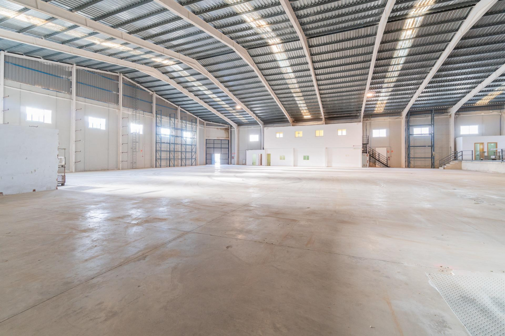 Lange termijn verhuur - Industrial unit - Pilar de la Horadada - Polígono industrial Cañada de Práez