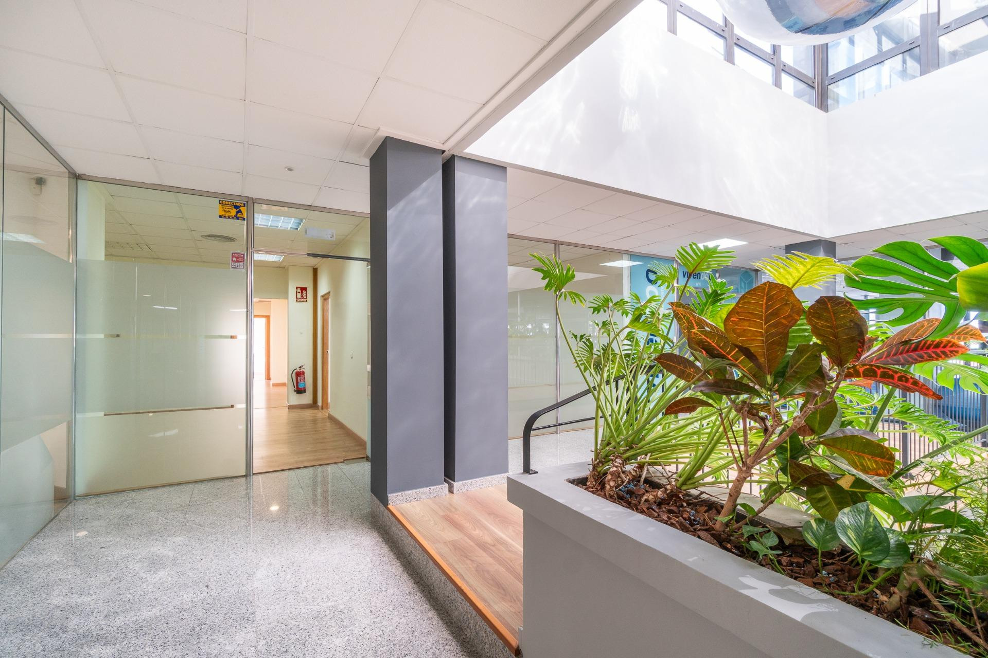 Long term rental - Commercial property - Orihuela Costa - Costa Blanca South