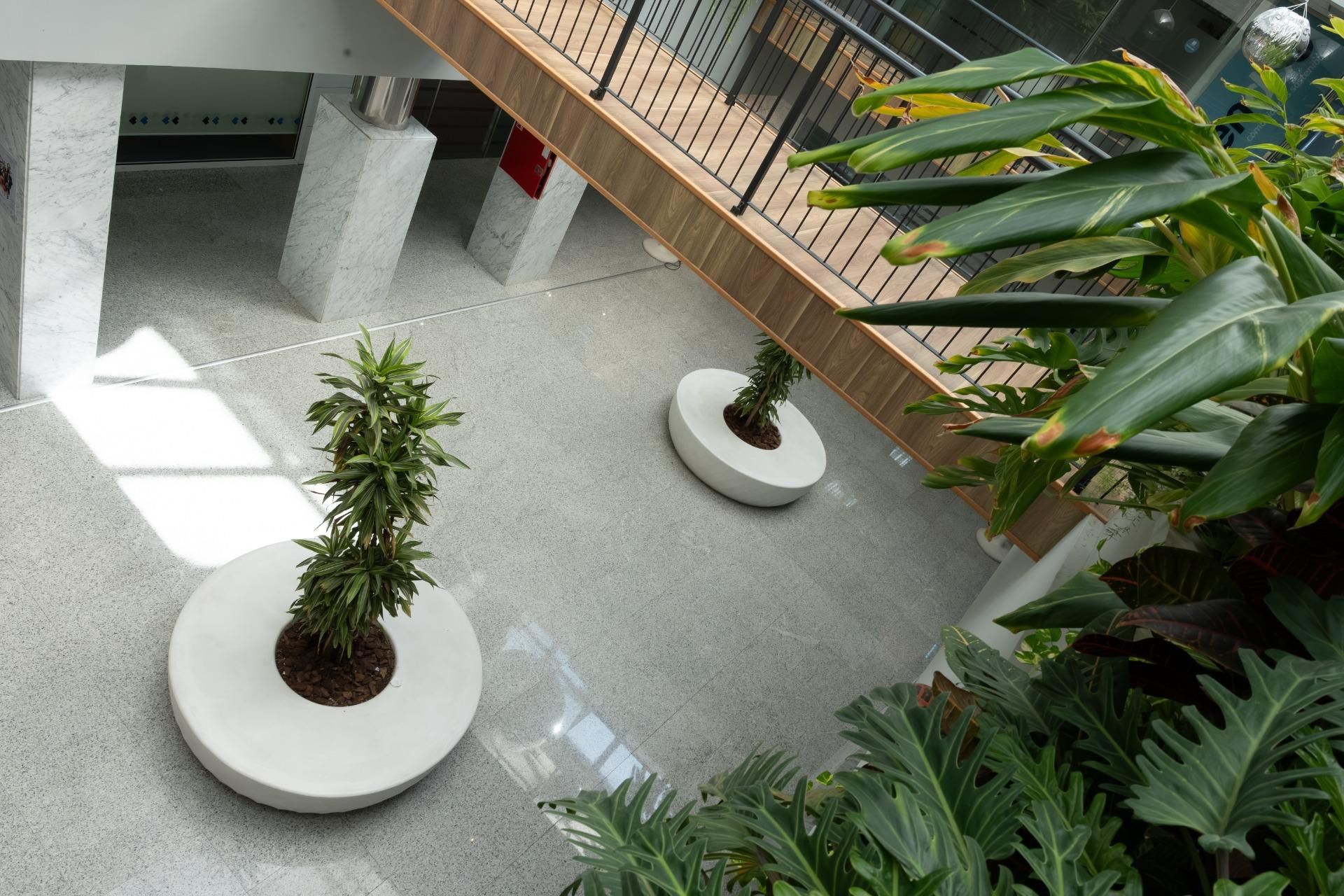 Long term rental - Commercial property - Orihuela Costa - Costa Blanca South