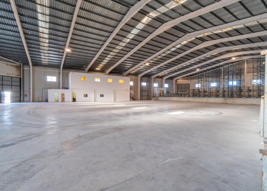 Long term rental - Industrial unit - Pilar de la Horadada - Polígono industrial Cañada de Práez