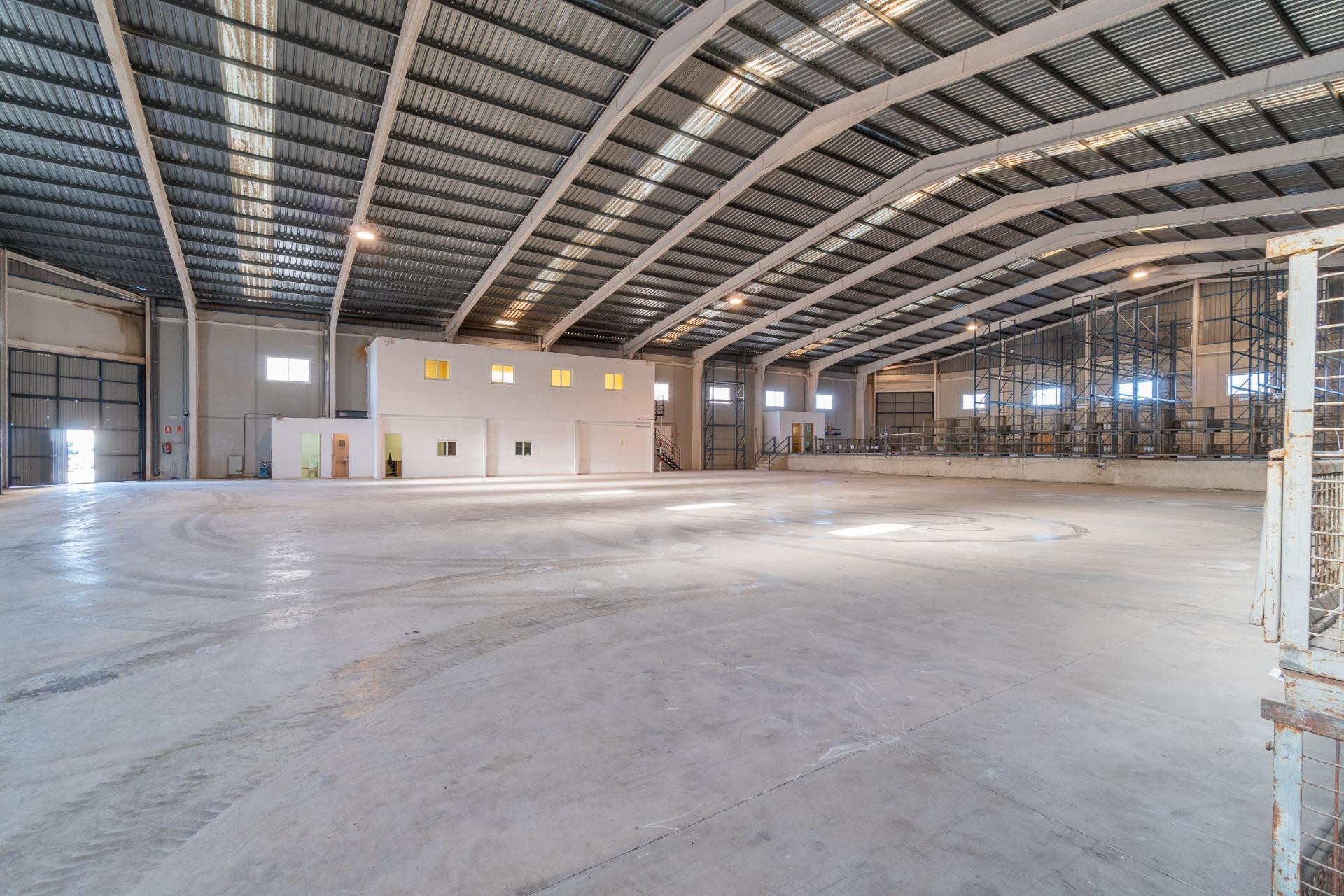 Long term rental - Industrial unit - Pilar de la Horadada - Polígono industrial Cañada de Práez