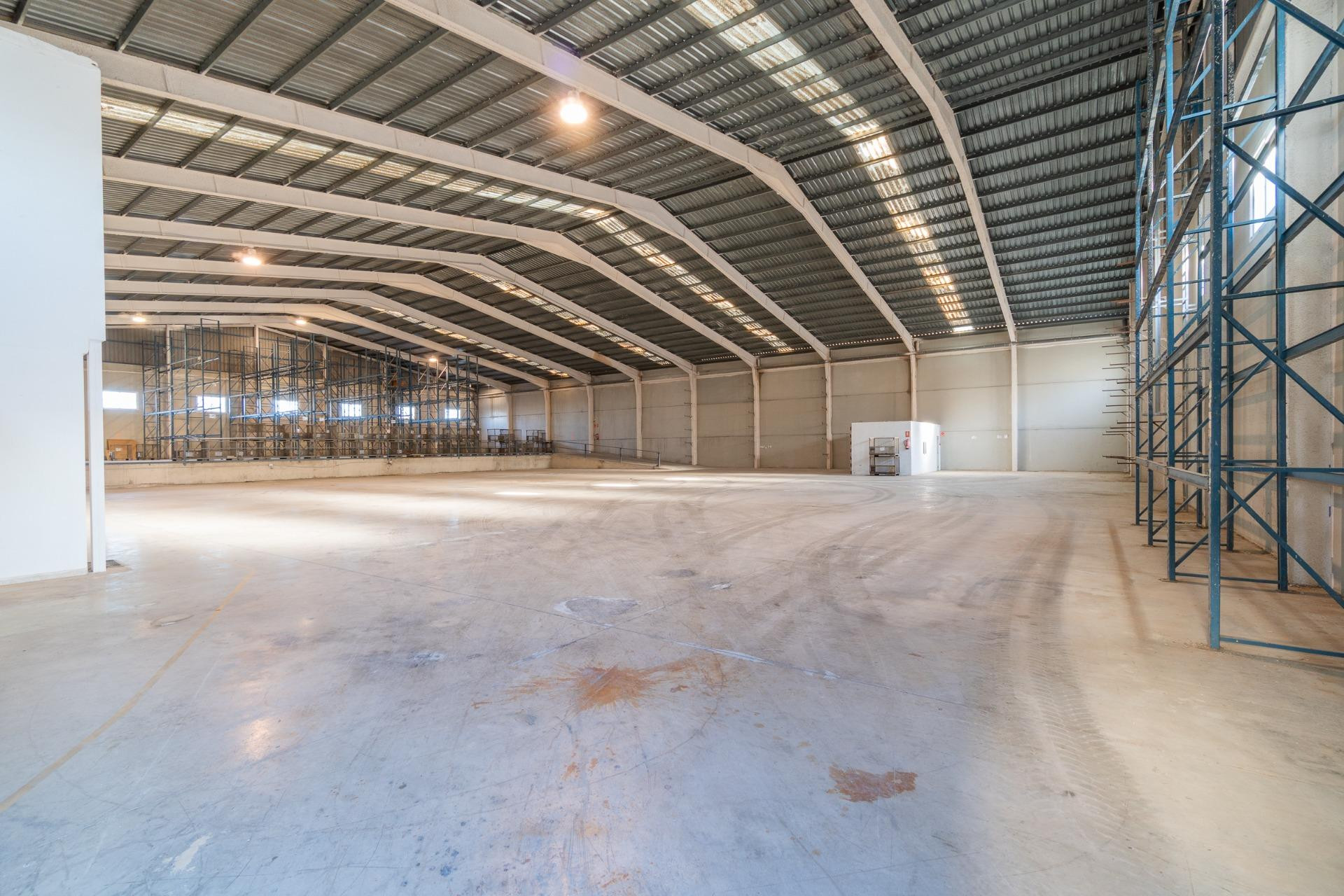 Long term rental - Industrial unit - Pilar de la Horadada - Polígono industrial Cañada de Práez