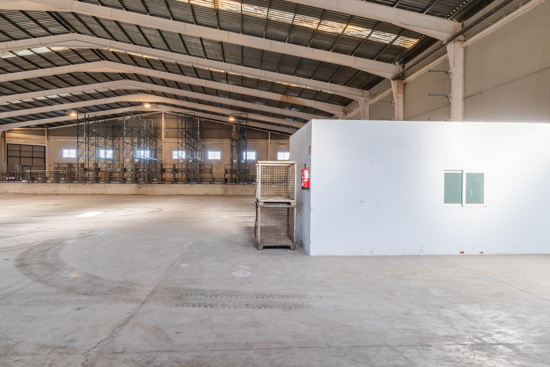 Long term rental - Industrial unit - Pilar de la Horadada - Polígono industrial Cañada de Práez