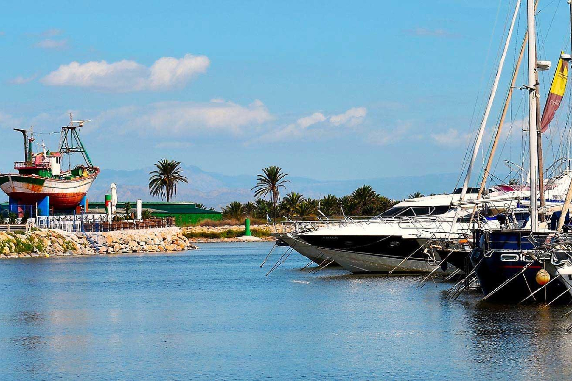 New build - 1. Apartment / flat - Guardamar del Segura - Avda del Puerto