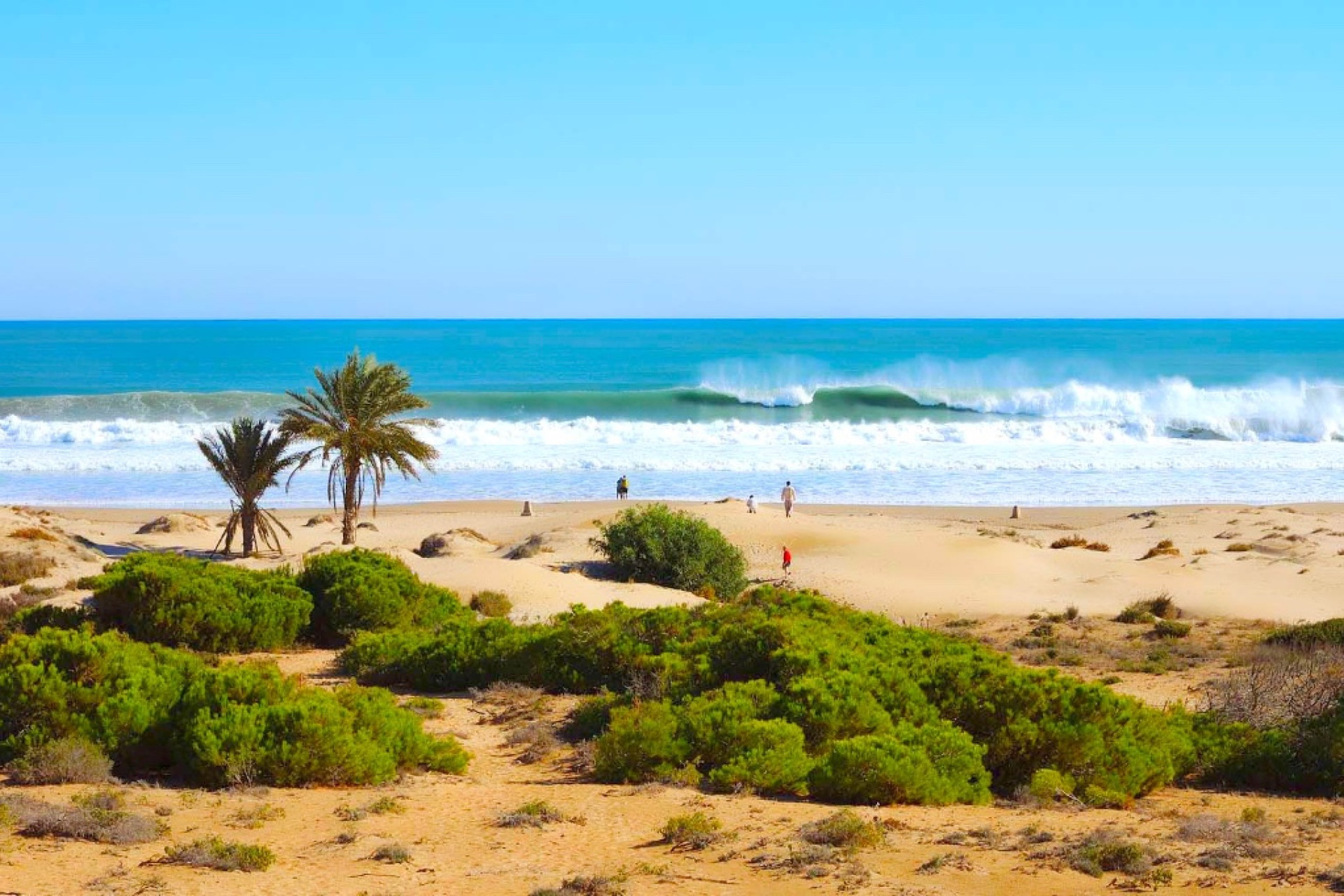 New build - 1. Apartment / flat - Guardamar del Segura - Costa Blanca South