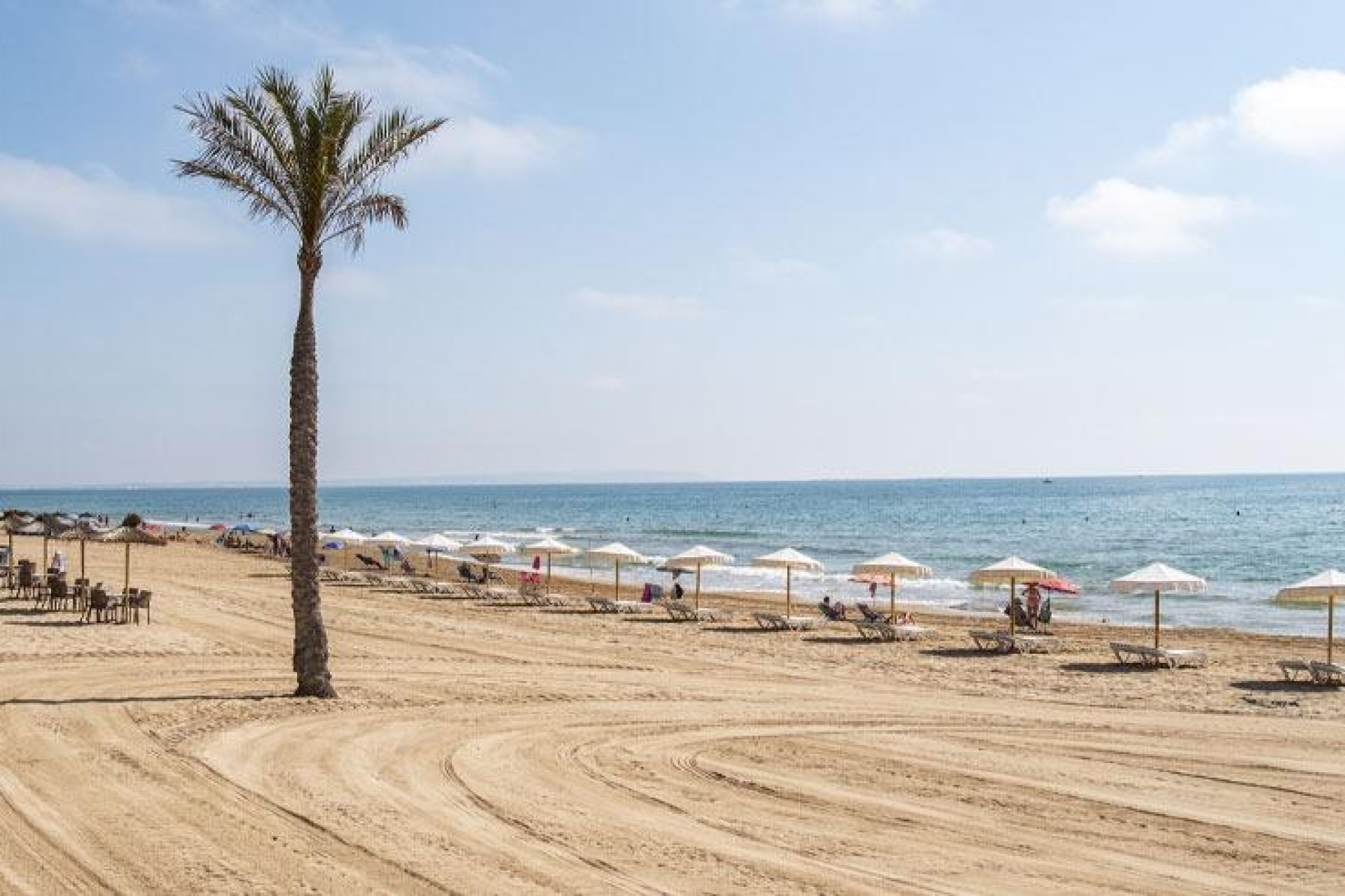 New build - 1. Apartment / flat - Guardamar del Segura - Costa Blanca South