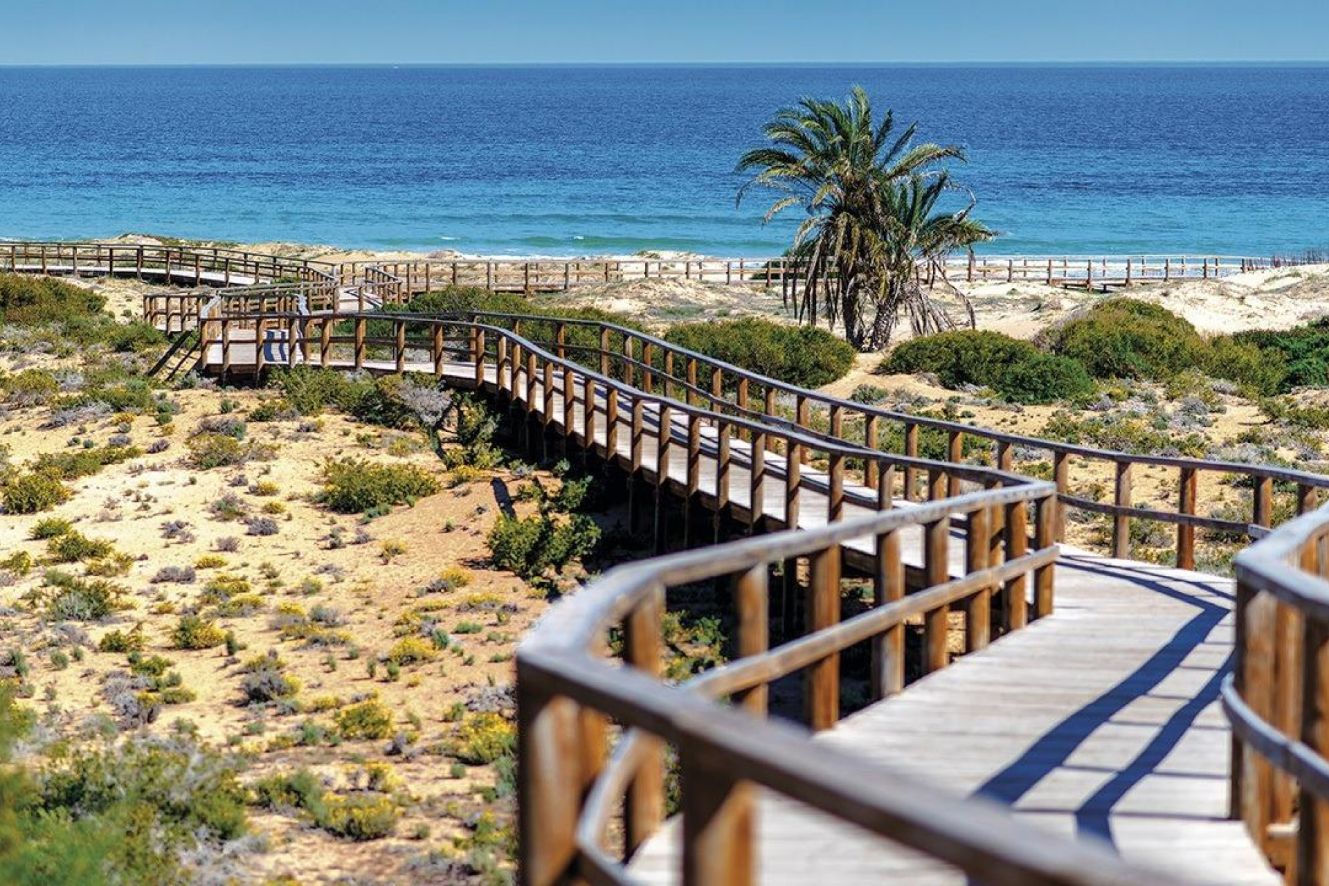 New build - 1. Apartment / flat - Monforte del Cid - Costa Blanca North