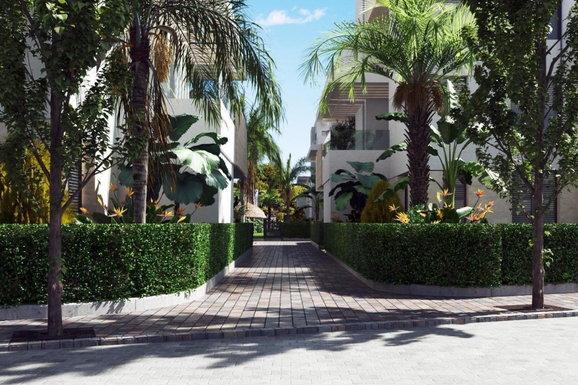 New build - 1. Apartment / flat - Torre Pacheco - Costa Calida