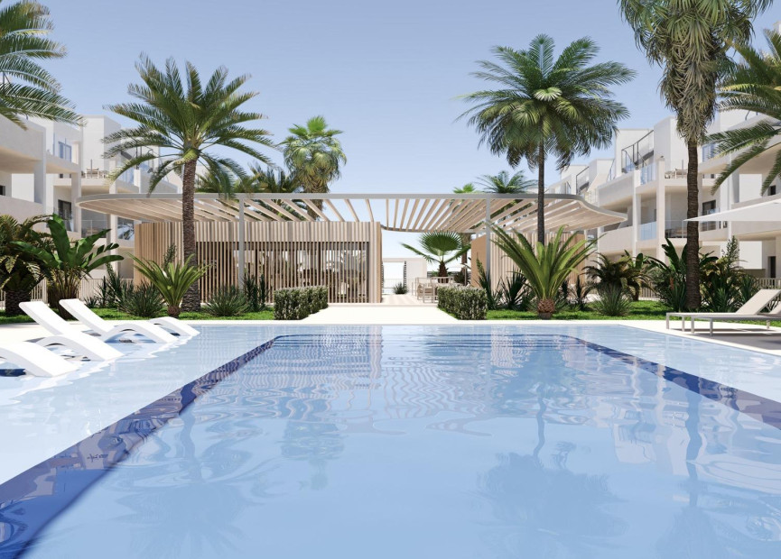 New build - 1. Apartment / flat - Torre Pacheco - San Cayetano