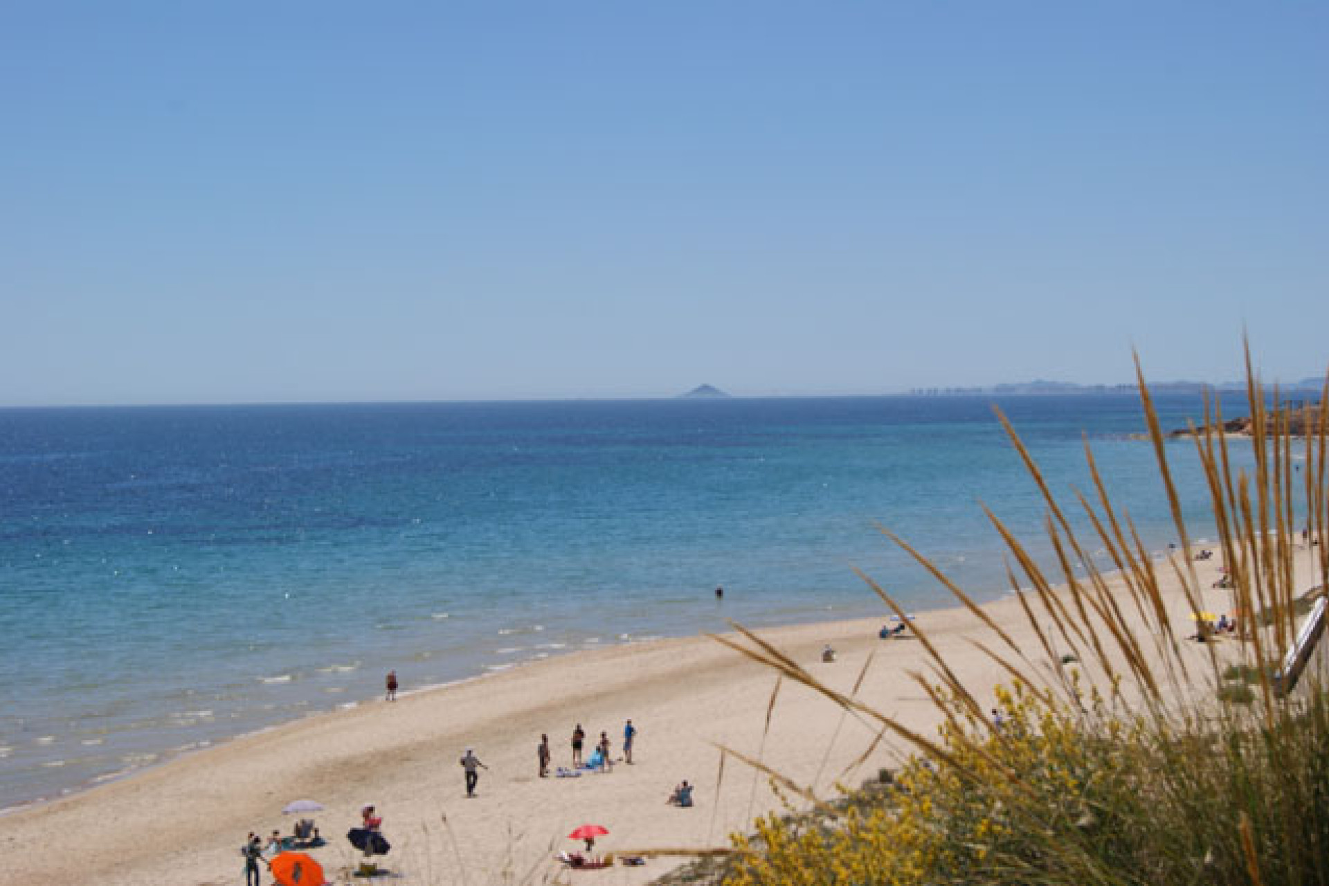 New build - 2. Town house - Pilar de la Horadada - Costa Blanca South