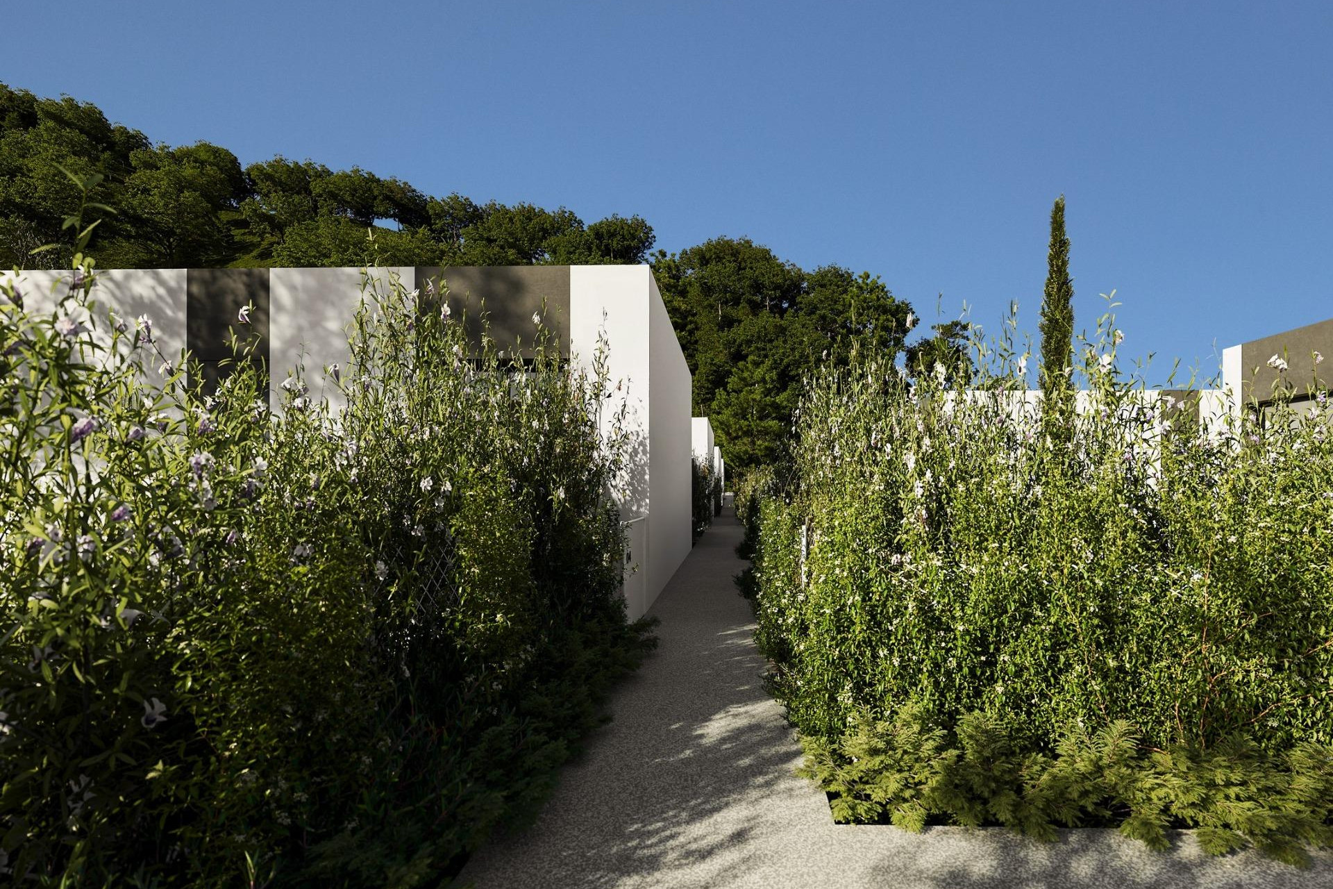 New build - 3. Detached house - Alfas del Pi - Barranc Fondo