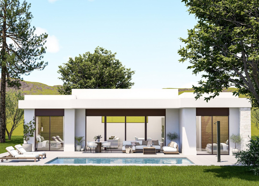 New build - 3. Detached house - Pinoso - Costa Blanca North