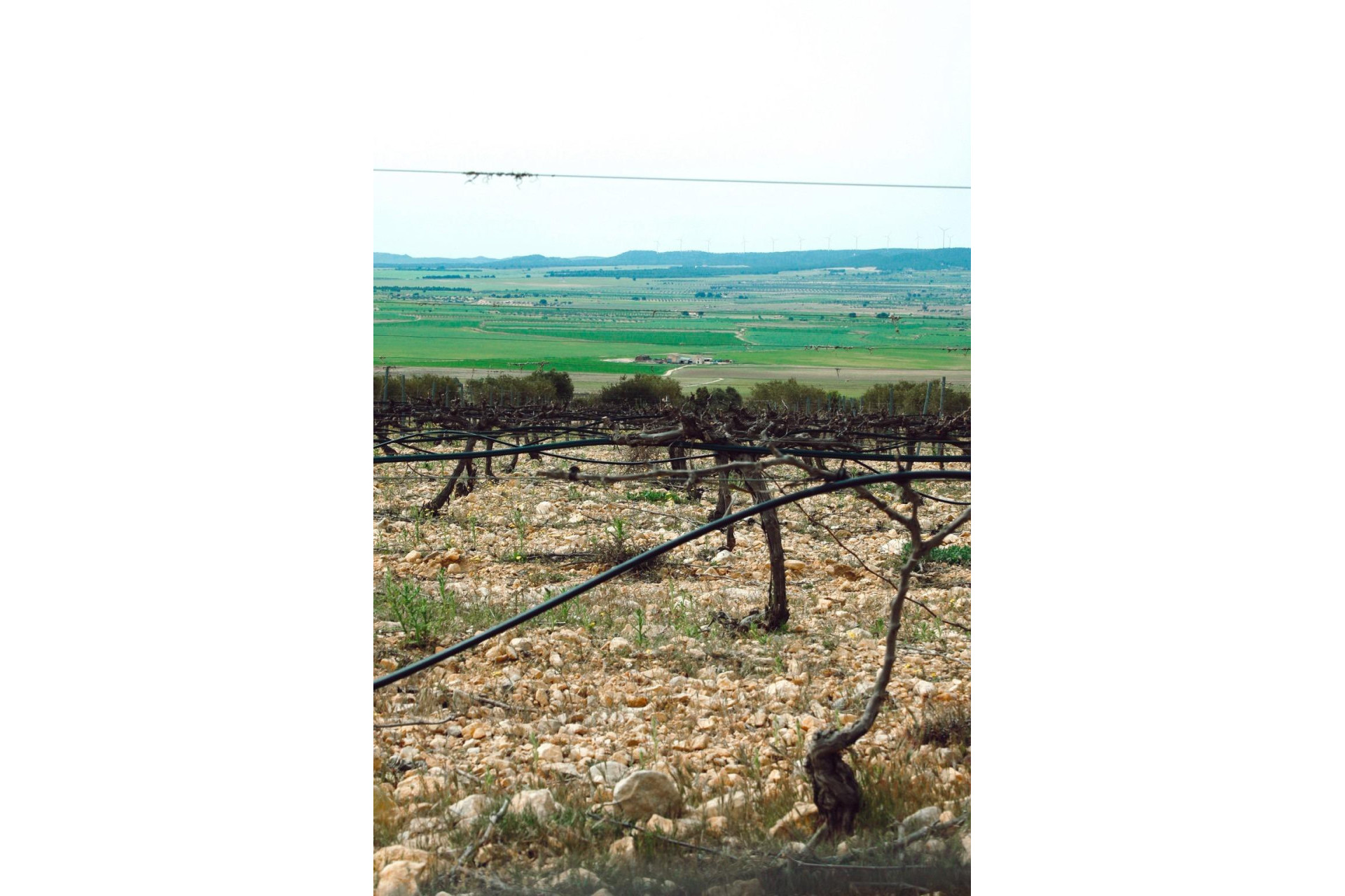 New build - 3. Detached house - Yecla - Costa Calida