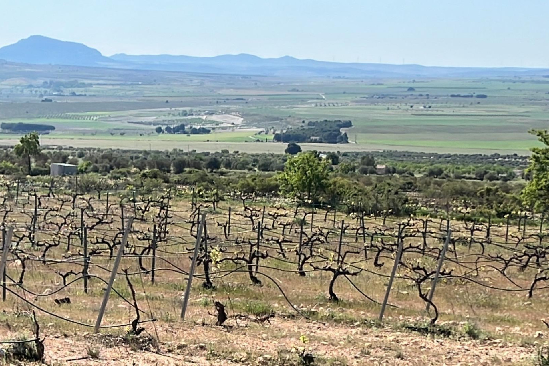 New build - 3. Detached house - Yecla - Costa Calida