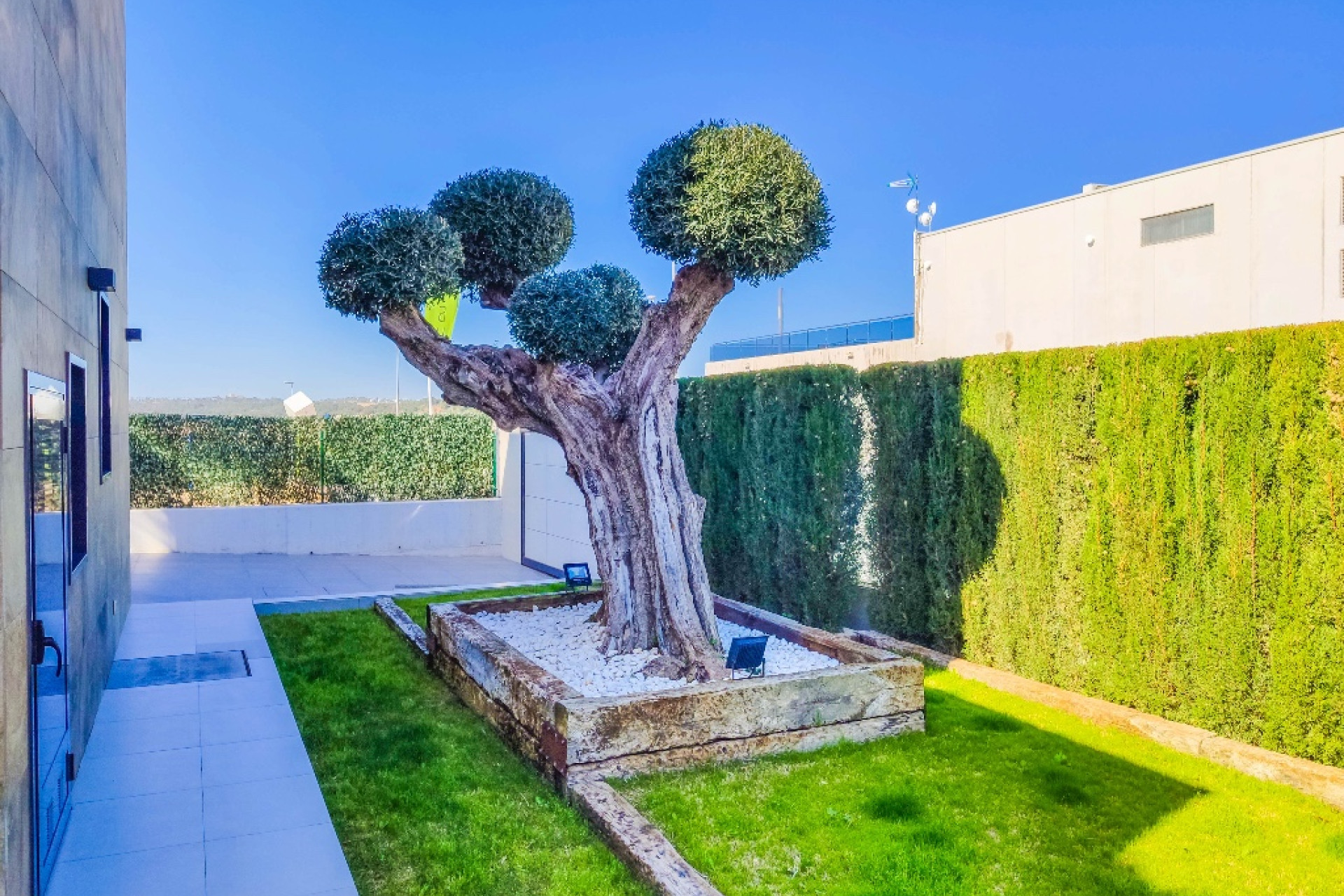 New build - 3. Semi-detached house - Dehesa de Campoamor - Costa Blanca South